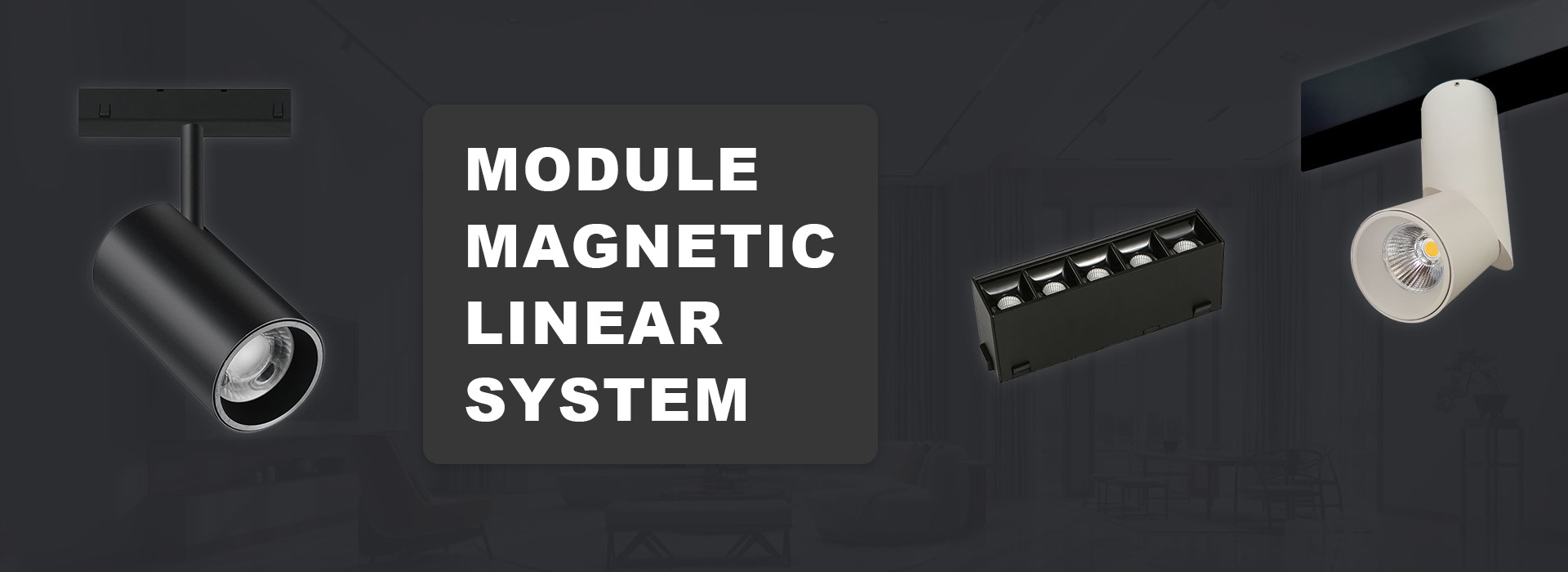 Module magnetic linear system