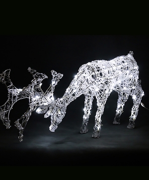 Reindeer transparent "drinks water" - 80 white LED lights